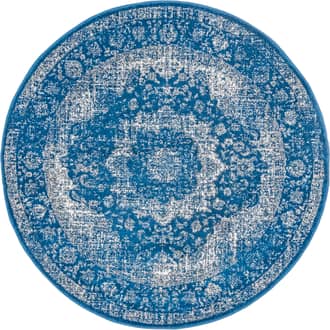 Distressed Persian Rug primary image