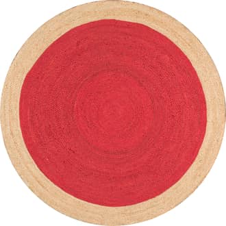 Jute Simple Border Rug primary image