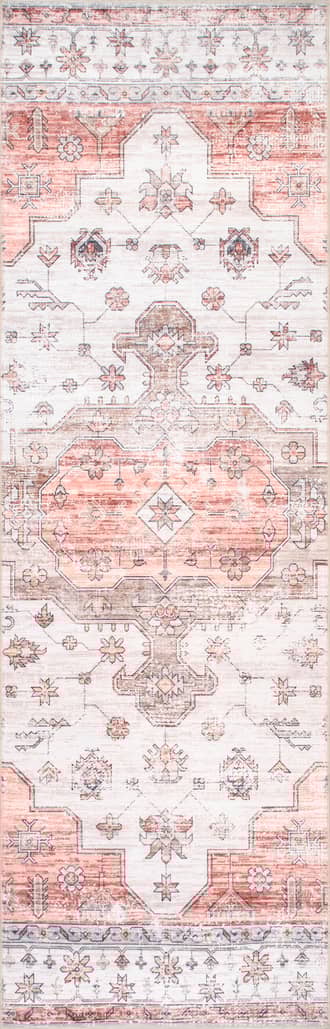 2' 6" x 6' Francis Cartouche Medallion Washable Rug primary image