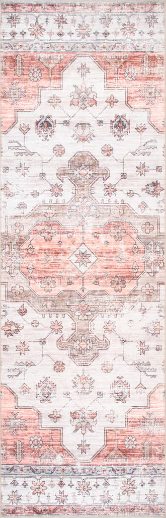 2' 6" x 12' Francis Cartouche Medallion Washable Rug primary image