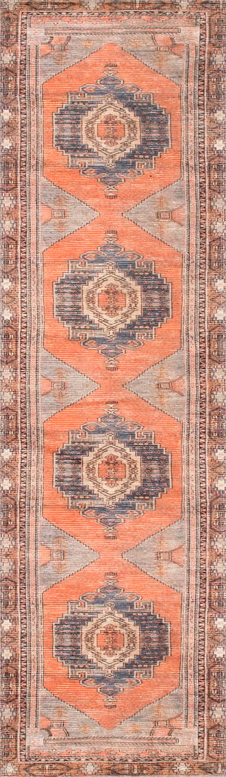 Washable Southwestern Medallion Rug primary image