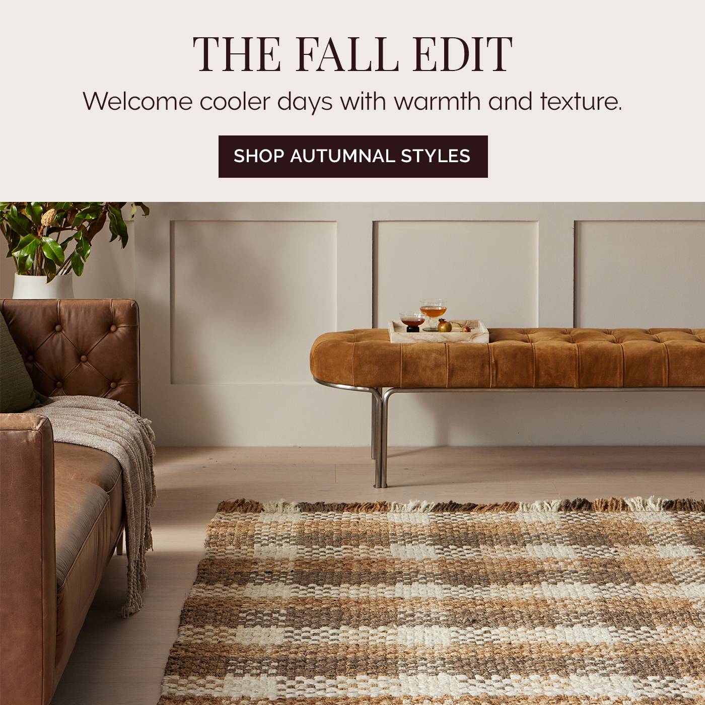 The Fall Edit Banner