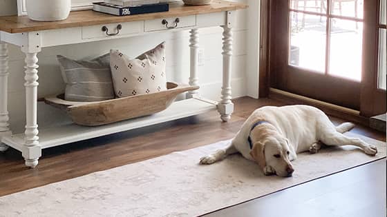 A yellow lab lays on a recycled washable rug.