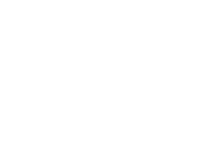 New York Times Logo