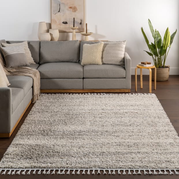 Kalin Shaded With Tassels Ivory Rug, Living Room Rugs 5×7