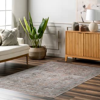Kaylee Faded Trellis Border Washable Stain-Resistant Rug secondary image
