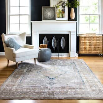 Passion Medallion Rug secondary image