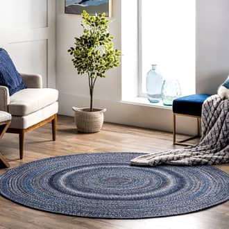 3' x 5' Farah Braided Ombre Rug secondary image