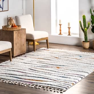 Aritzia Zebra Textured Rug secondary image