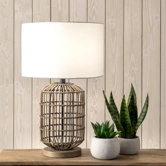 25-inch Rattan Bird Cage Table Lamp secondary image