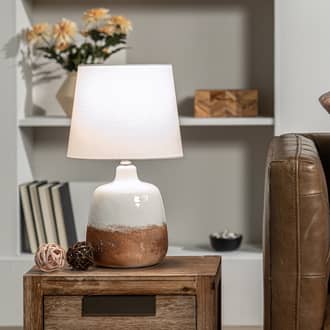 18-inch Ombre Ceramic Table Lamp secondary image