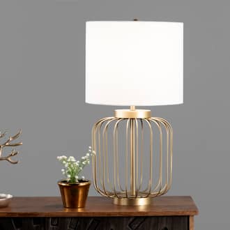 23-inch Iron Wire Framed Bird Cage Table Lamp secondary image