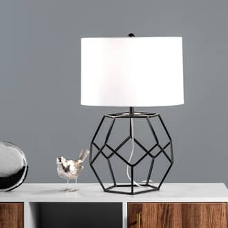 21-inch Iron Wire Framed Globe Table Lamp secondary image
