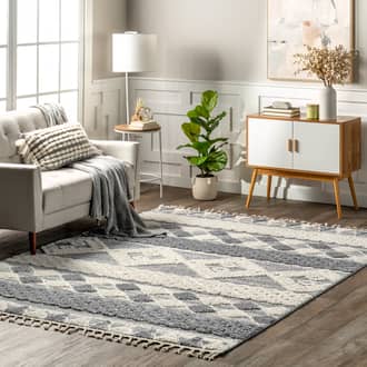 Jamila Textured Banded Rug secondary image