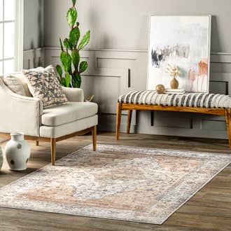 8' x 10' Audrey Washable Stain Resistant Rug secondary image