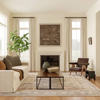 Angeline Washable Stain Resistant Rug secondary image