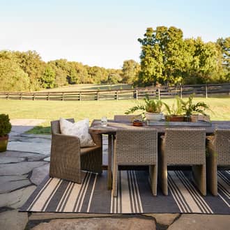 Romy Striped Indoor/Outdoor Rug secondary image