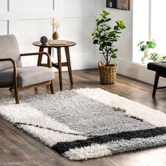 Gray Flossy Shag Kaylani Shag Colorblock rug