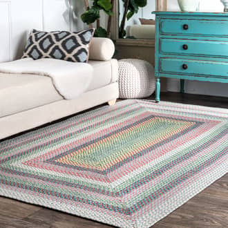 Braided Classics Indoor/Outdoor Rug secondary image