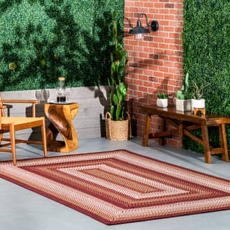 Selena Braided Indoor/Outdoor Rug secondary image