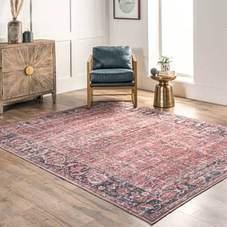 Fiona Distressed Washable Rug secondary image