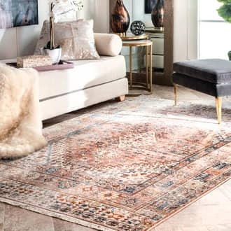 Distressed Medallion Rug secondary image