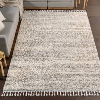 Shaded Shag With Tassels Rug secondary image