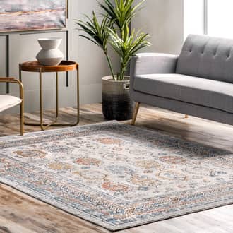 Beige Gorgona Bordered Paisley rug - Transitional Rectangle 8' x 11'