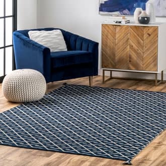 5' x 8' Flatwoven Pip Trellis with Tassels Rug secondary image