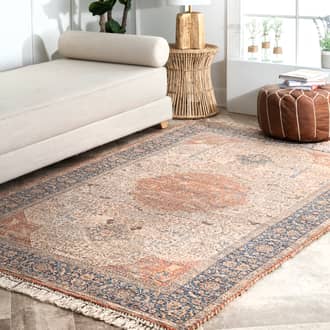 5' x 8' Clouded Medallion Rug secondary image