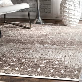 Victorian Ombre Rug secondary image