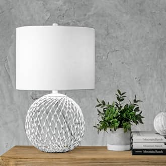 20-inch Iron Wire Mesh Globe Table Lamp secondary image