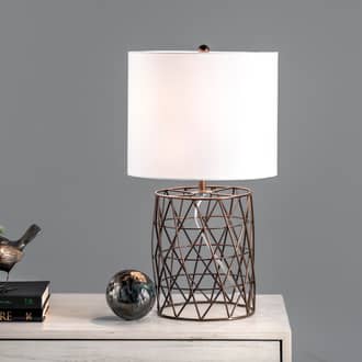 22-inch Iron Wire Mesh Trellis Table Lamp secondary image
