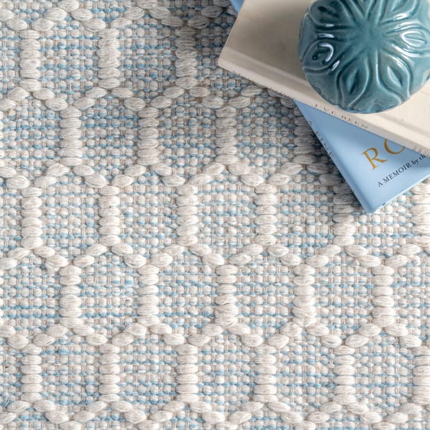 Asteria Hive Fringed Baby Blue Rug, Baby Blue Area Rug