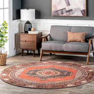 Washable Southwestern Medallion Rug secondary image