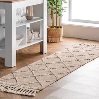 Beige Solana Uplifted Trellis Tasseled rug