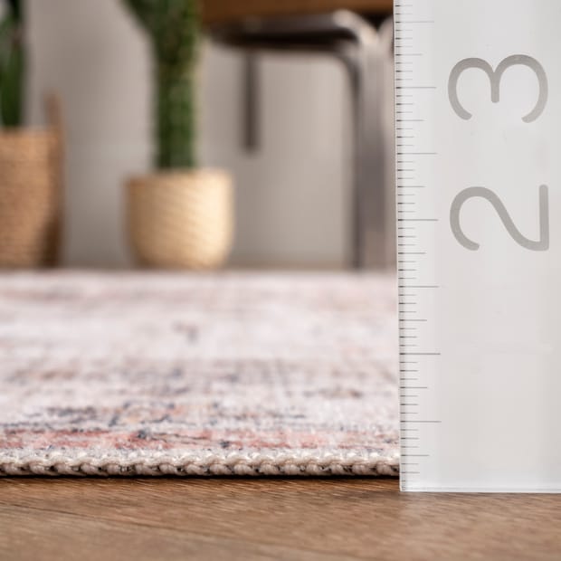 Rain Haven Francis Cartouche Medallion Washable Beige Rug