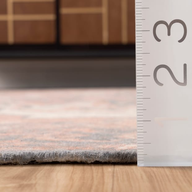 Ditmars Sabine Fringe Multi Rug