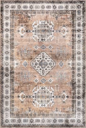 Rust 2' x 3' Antoinette Washable Stain Resistant Rug swatch