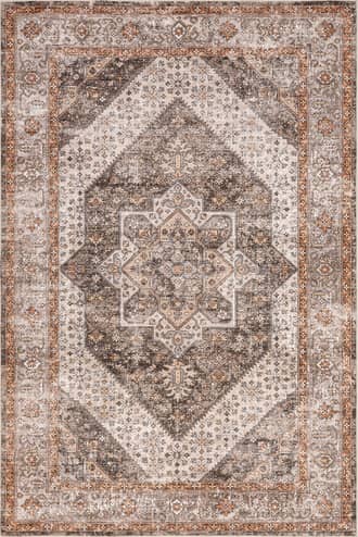 Brown Margot Bordered Medallion Washable Stain-Resistant Rug swatch