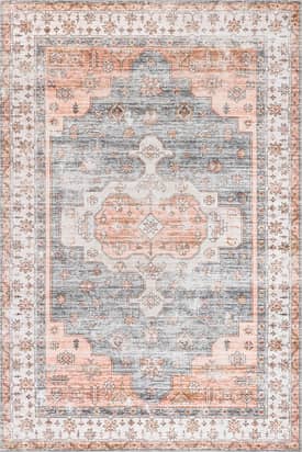 Light Gray 2' 6" x 8' Francis Cartouche Medallion Washable Rug swatch