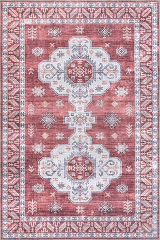 5' x 8' Eboni Traditional Washable Rug primary image
