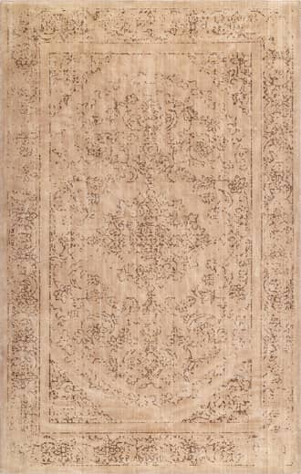 Antiquated Rug primary image