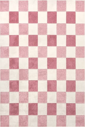 8' x 10' Alexie Two-Tone Checkered Rug primary image