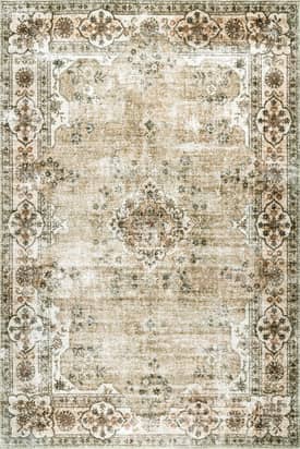 Beige 3' x 5' Audrina Persian Washable Rug swatch