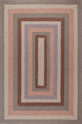 Taupe 4' x 6' Selena Braided Indoor-Outdoor Rug swatch