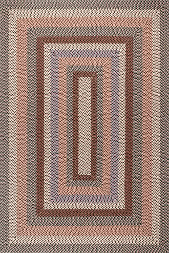 Taupe 5' x 8' Selena Braided Indoor/Outdoor Rug swatch