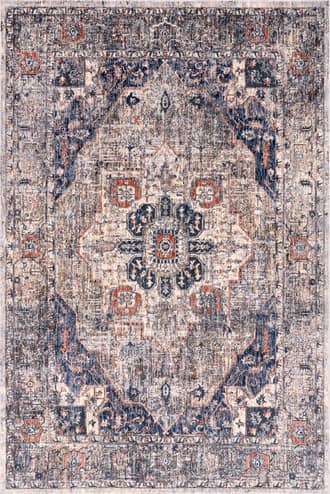 Navy 8' x 10' Maud Traditional Vintage Rug swatch