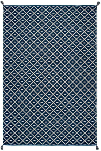 Blue 5' x 8' Flatwoven Pip Trellis with Tassels Rug swatch
