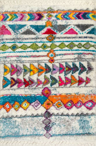 Multicolor Ambience Shag Tasseled Rug swatch